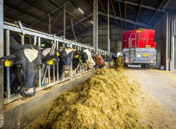 KWS_Meer melk uit eigen voer.jpg