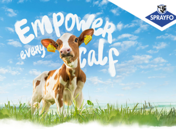 Innovatieve kalvermelk Sprayfo Ultimo ondersteunt natuurlijke ontwikkeling