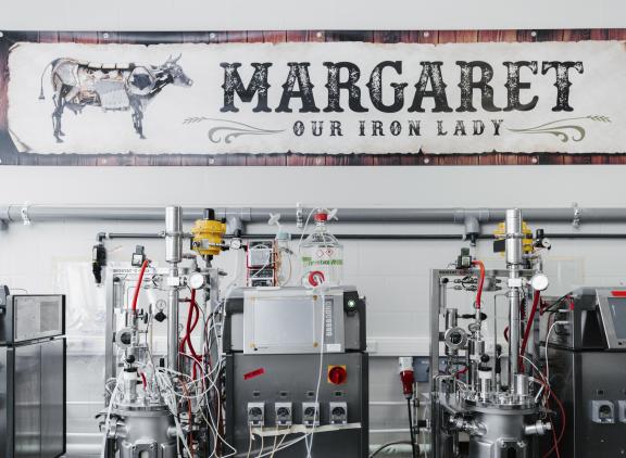 Het bedrijf Those Vegan Cowboys produceert in een fabriek door middel van precisiefermentatie het kaaseiwit caseïne (foto: Those Vegan Cowboys).