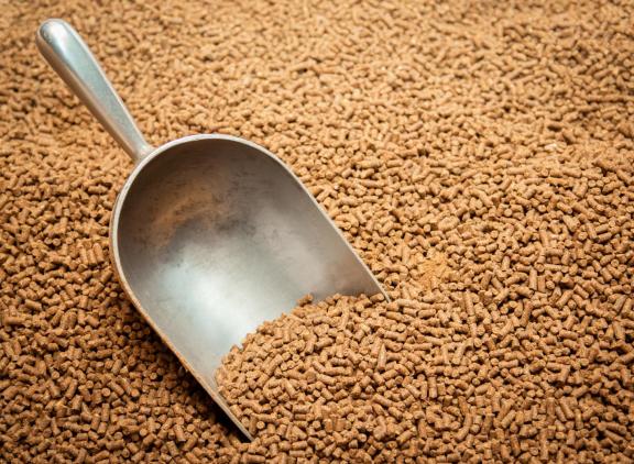 De lagere grondstofprijzen zorgden voor een daling van de omzet in euro's bij ForFarmers