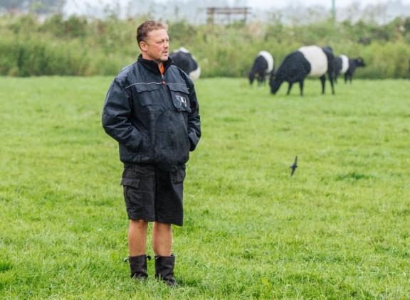Fernand de Willigen houdt samen met zijn vrouw Meta 75 lakenvelders in Warmond. Ze zijn actief bezig met natuur- en weidevogelbeheer. 