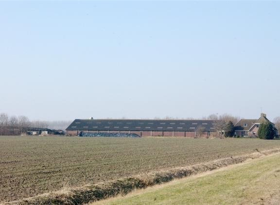 zeeland
