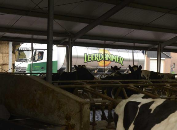 De melkaanvoer in januari is vergelijkbaar met drie jaar geleden