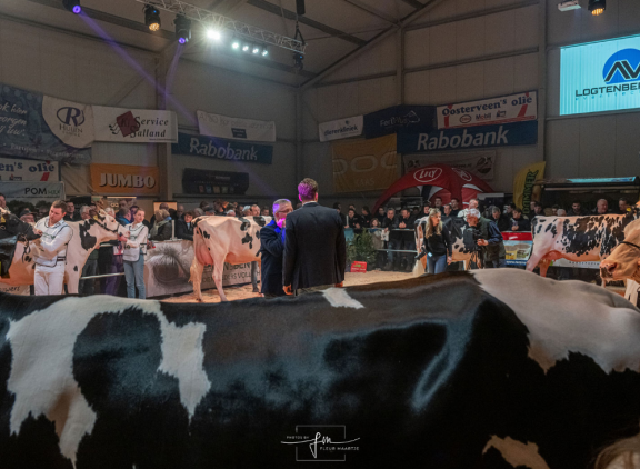 Alle kampioenen van de wintershow Zwolle in Vinkenbuurt passeren de camera (foto: Fleur Maartje Bakker)