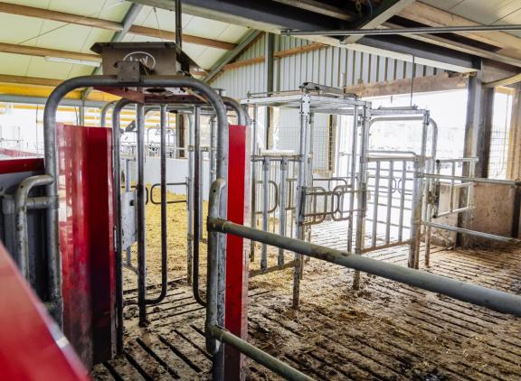 De Werkgroep Meerweiden kaart onder meer de registratie van het aantal weide-uren aan