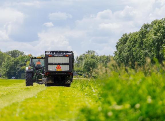 Stalvoeren kan bijdragen aan het verhogen van percentage eiwit van eigen land