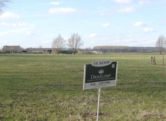 Melkveebedrijven waren gemiddeld in 2024 binnen een half jaar verkocht