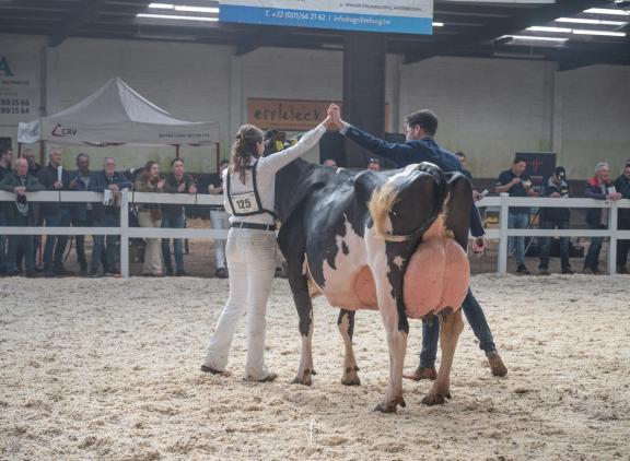 Hartje 362 (v. Malki) van de familie Brekelmans prolongeerde haar titel in Asten-Heusden (foto: Fleur Maartje Bakker)