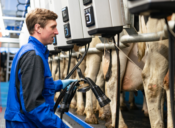 Melken naar een hoger niveau met de nieuwe Melkstal Automatisering