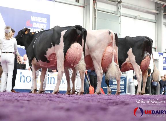 De titel in Carlisle was voor MAG Pandor (v. Sidekick)