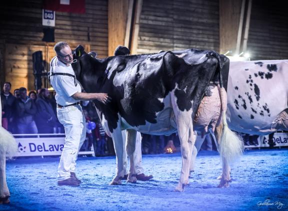 Longeraie Armagedon Gentiane is de nieuwe Zwitserse zwartbontkampioene (foto: Guillaume Moy)