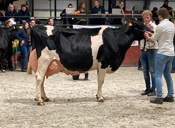Algemee kampioene VVH Helga 9 produceerde al ruim 94.000 kg melk