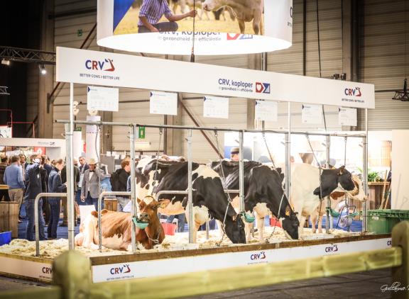 De organisatie van Agriflanders hoopt dat er in 2027 weer veel animo zal zijn voor de prijskampen