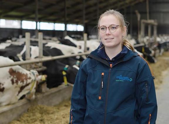 Vaccinatie als sleutel tot een blauwtongvrij Nederland