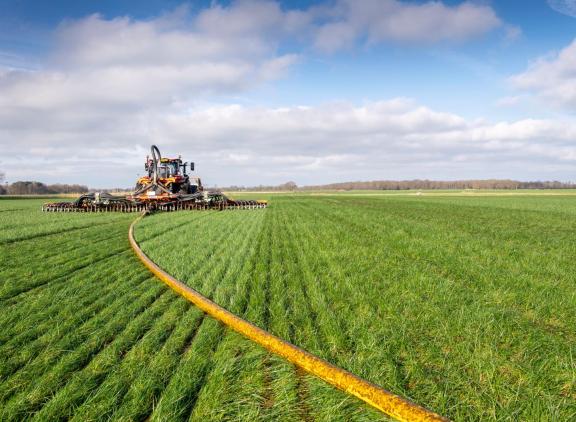 Bij het toepassen van renure-meststoffen kan de aanvoer van zwavel oplopen tot 75 à 100 kg per hectare