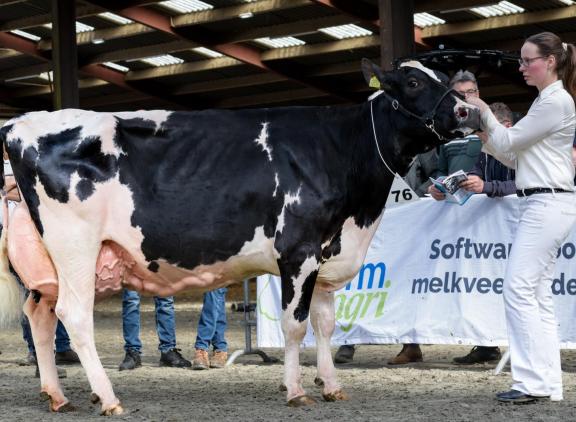Westside Annie 149 wint het publiekskampioenschap in Etten-Leur