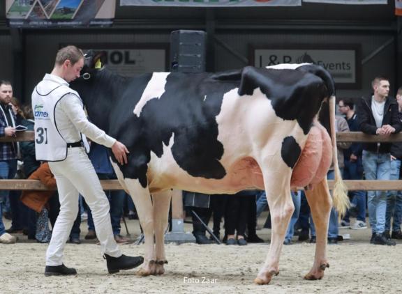 Middenklaskampioene Thea 294 (v. Malki) won in Tolbert het algemeen kampioenschap (foto: Foto Zaar)