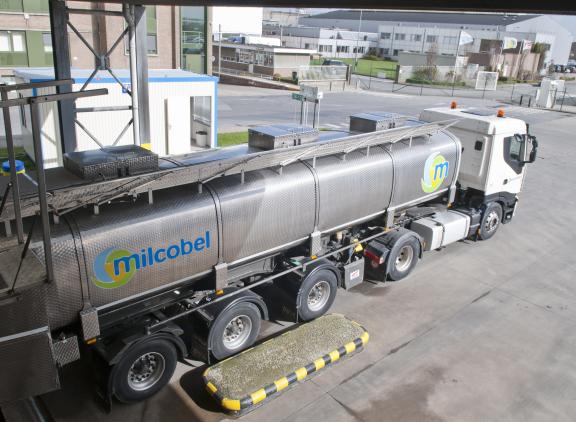 Milcobel verwerkte in 2024 circa 100 miljoen liter minder melk dan in 2023 maar de omzet bleef op peil