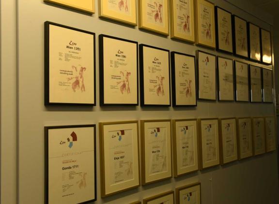 De muur bij de familie Meijer uit Blijham hangt vol met predicaten voor honderdtonners