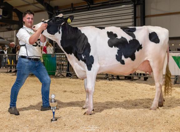King Docdochter Jolenbroek Gerda 442 eiste de vaarzentitel op (foto: Cilia Hoekman)