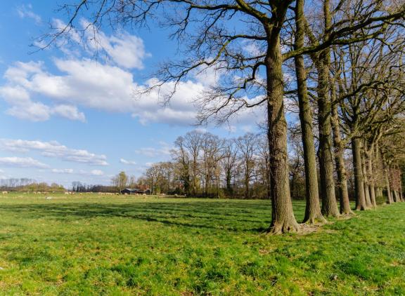 Deelnemers aan de extensiveringsregeling lopen vooruit op een mogelijke zonering rond stikstofgevoelige Natura 2000-gebieden