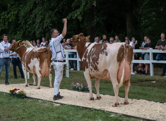 In totaal vond de Dairy Fair Mariënwaerdt tot nu toe elf keer plaats (foto: Fleur Maartje Bakker)
