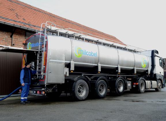 In België liep de melkaanvoer over het eerste kwartaal van 2025 met 5,2 procent af