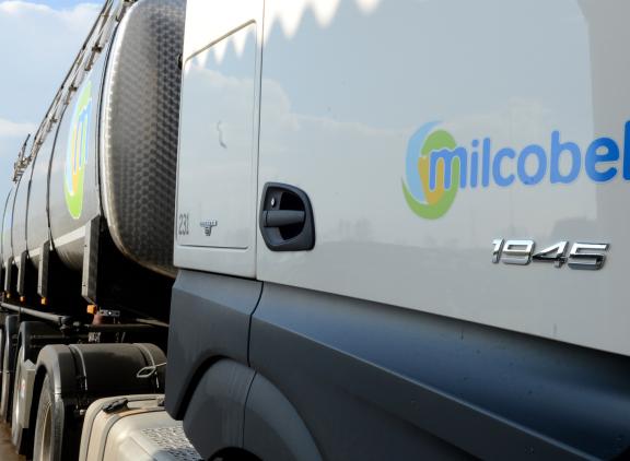 Milcobel constateert een stabiele zuivelmarkt 
