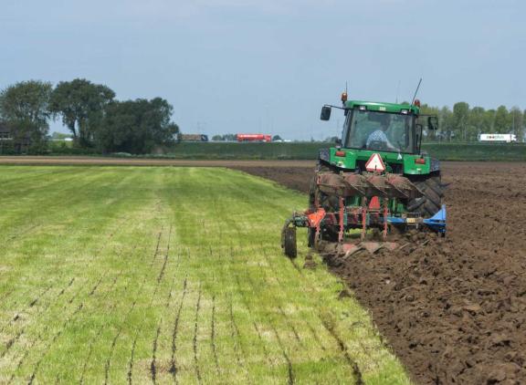 De huidige definitie van blijvend grasland is gras dat vijf jaar of langer in gebruik is
