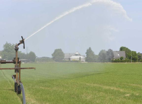 In het Zuiden zijn sommige veehouders al bezig met de derde of vierde ronde beregenen