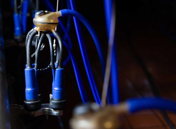 Op de beste Duitse bedrijven heeft driekwart van de koeien een celgetal dat lager is dan 100.000 cellen per milliliter