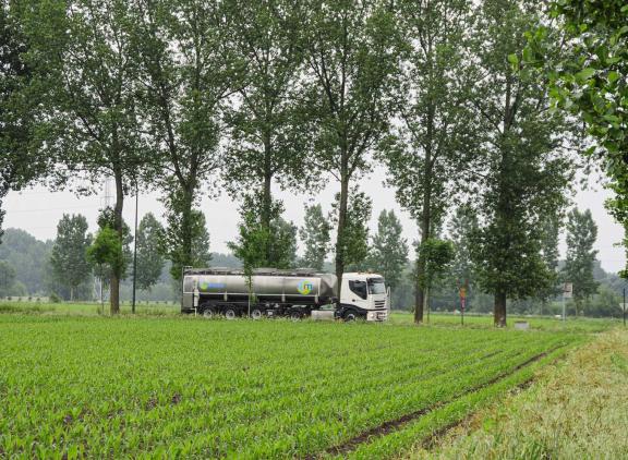 In 2024 stopte 4,1 procent van de melkleveraars