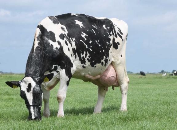 Drie dagen na haar vijftiende verjaardag kreeg Yvonne 91 punten (foto: Harrie van Leeuwen)