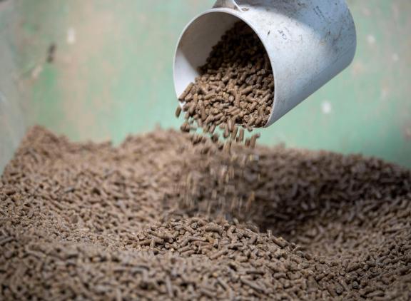 De Heus Voeders heeft inmiddels 100 productievestigingen in meer dan twintig landen