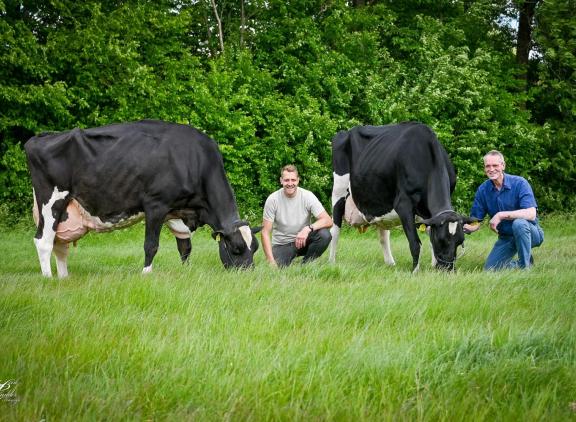 Wilco en Koos Stolwijk met Reidlander Bet 761 (links) en Shakira 5 (foto: Henk Lomulder)