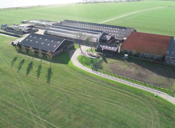 Eind 2023 had 20 procent van de melkveebedrijven een solvabiliteit van meer dan 90 procent