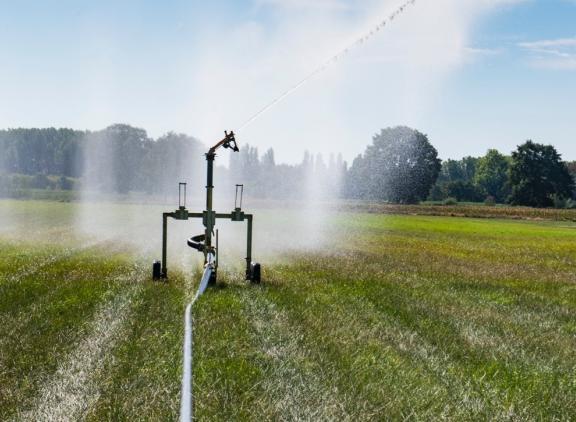 Beregenen kost 456 euro per hectare