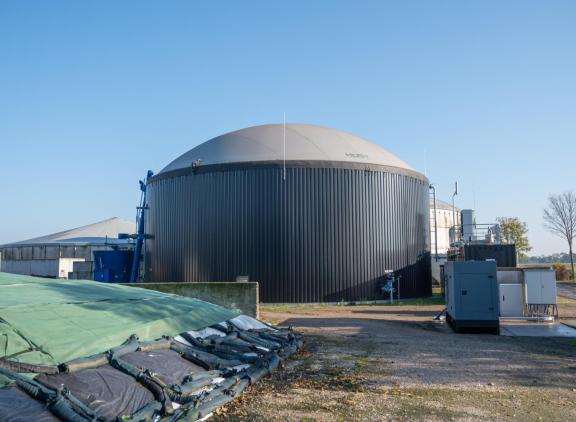 De onderzoekers adviseren beleidsmakers om vol in te zetten op  biologisch aanzuren van mest in combinatie met mestvergisting en stikstofstrippen voor het verminderen van emissies van ammoniak en methaan en het verhogen van de productie van groengas 