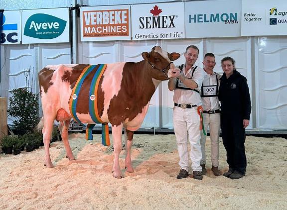 Anousche (v. Avance) van Tiede Mazereel en Joyce Dobbelaere uit Reninge won op de Koeparade het algemeen kampioenschap
