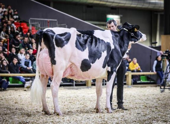 Vorig jaar won Hotlinedochter Robinard Pastèque de titel op de SIA (foto: Guillaume Moy)