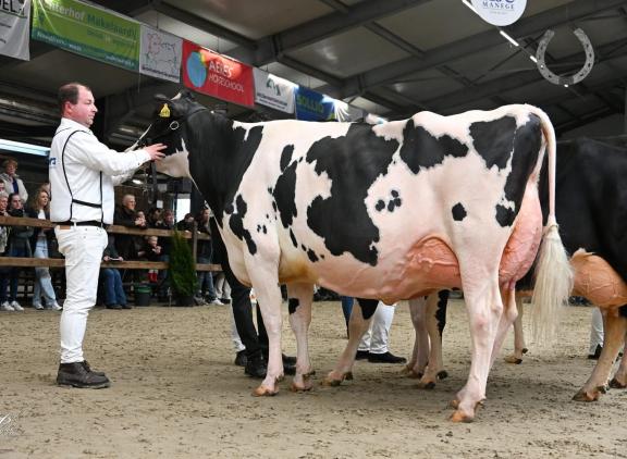 Het algemeen kampioenschap in Tolbert ging naar Cinderella 1 (foto: Henk Lomulder)