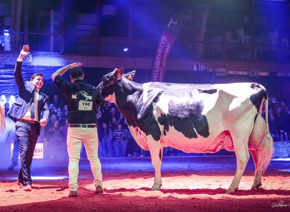 De Luxemburgse Attert Rose (v. Carlos) won het algemeen kampioenschap in Libramont
