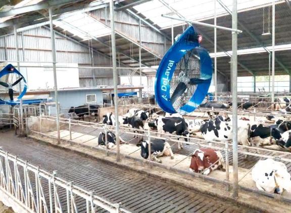CowCooling in praktijk