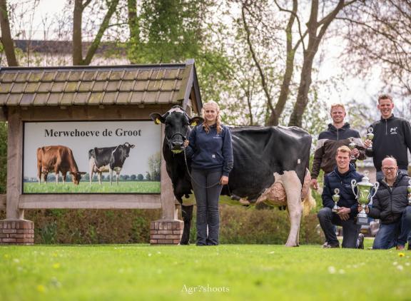 Het winnende team van Friesland met staand Jilles Jan Kooistra en Bas Koopstra, zittend Rein Vernooij en Jaap van Dooren (foto: Agrishoots)